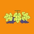 Bunch of wine grapes with leaf flat purple vector Royalty Free Stock Photo