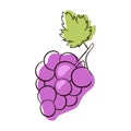 Bunch of wine grapes with leaf flat purple vector icon. Hand drawn grapes sketch. Purple grapes Vector illustration. Royalty Free Stock Photo