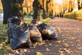 Bunch of withered leaves lying in black bin bags.Black garbage bags filled with fallen leaves