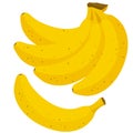 Bunch of yellow bananas. Vector illustration