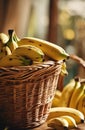 Bunch of yellow bananas in a wicker basket.