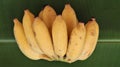Bunch of yellow color bananas in plantain leaf