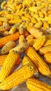 a bunch of yellow corn being dried in the sun Royalty Free Stock Photo