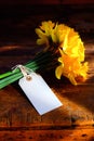 Bunch of yellow daffodils tied together with string and a white