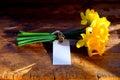 Bunch of yellow daffodils tied together with string and a white