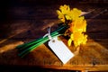 Bunch of yellow daffodils tied together with string and a yellow