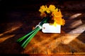 Bunch of yellow daffodils tied together with string and a white