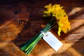 Bunch of yellow daffodils tied together with string and a white