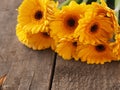 Bunch of yellow daisies Royalty Free Stock Photo