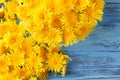 Bunch of yellow dandelions in pot Royalty Free Stock Photo