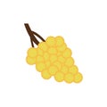 Bunch of yellow grapes with on white background.