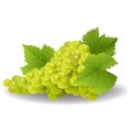 Bunch of yellow or green grapes with vine leaves Royalty Free Stock Photo