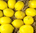 A bunch of yellow lemons