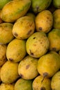 Bunch of Yellow Mangos