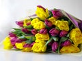 Bunch of yellow and purple tulip, bouquet of flowers on white background Royalty Free Stock Photo