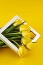 Bunch of yellow tulip flowers Royalty Free Stock Photo