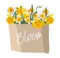 Bunch of yellow and white daffodils in craft bag. Isolated on white background Royalty Free Stock Photo
