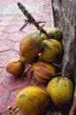 a bunch of yellowish green young coconuts on a brown floor