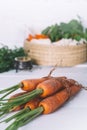 Bunch of young carrots with green tops on white wooden vintage table, healthy food on mock up background top view Royalty Free Stock Photo