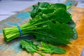 Bunch of young fresh leaves of green organic spinach ready to cook Royalty Free Stock Photo