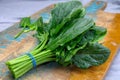 Bunch of young fresh leaves of green organic spinach ready to cook Royalty Free Stock Photo