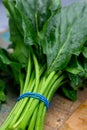 Bunch of young fresh leaves of green organic spinach ready to cook Royalty Free Stock Photo