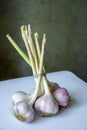 A bunch of young garlic on a white background. Royalty Free Stock Photo