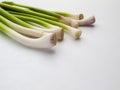 Bunch of young garlic on white background Royalty Free Stock Photo