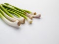 Bunch of young garlic on white background 2 Royalty Free Stock Photo