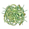 Bunch of young green garlic arrows. view from above. Isolated watercolor illustration. For packaging design, product