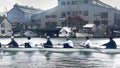 A bunch of young rowing enthusiasts, skilled in crew racing, where they propel boats using oars through sculling