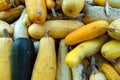 Bunch of zucchini lying on the ground