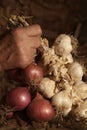 Bunche of onions and garlic hanging from the ceiling Royalty Free Stock Photo