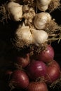 Bunche of onions and garlic hanging from the ceiling Royalty Free Stock Photo