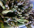 Bunched asparagus in the market for sale