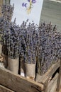 Bunches of aromatic dried lavender or lavandin flowers for sale in shop in Provence, France Royalty Free Stock Photo