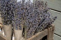 Bunches of aromatic dried lavender or lavandin flowers for sale in shop in Provence, France Royalty Free Stock Photo