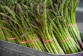 Bunches of fresh asparagus at a local market Royalty Free Stock Photo