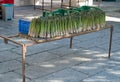 Bunches of asparagus for sale in a flea market Royalty Free Stock Photo