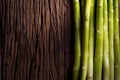 Bunches of asparagus Royalty Free Stock Photo