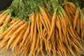 Bunches of baby carrots