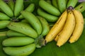 Bunches of banana fruits on green leaf background. Royalty Free Stock Photo