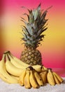 Bunches of Bananas on Beach with Sunset, Regular Bananas and Miniature Bananas With Pineapple