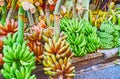 The bunches of bananas, Chinatown, Yangon, Myanmar Royalty Free Stock Photo