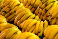 Bunches of bananas on display at farmer`s market Royalty Free Stock Photo