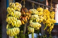 Bunches of bananas fresh cut from a tree on sale in the market in Asia. Banana Varieties, street bazaar in India Royalty Free Stock Photo