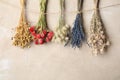 Bunches of beautiful dried flowers hanging on rope near light grey wall. Space for text Royalty Free Stock Photo