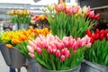 Bunches of beautiful tulip flowers for sale in a flower market. Colorful tulips. Florist service. Woman day Royalty Free Stock Photo