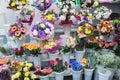 bunches of big fresh orange pink red gerbera chamomile rose and big white yellow blue chrysanthemum flower Royalty Free Stock Photo