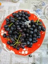 bunches of black grapes on an old red plate Royalty Free Stock Photo